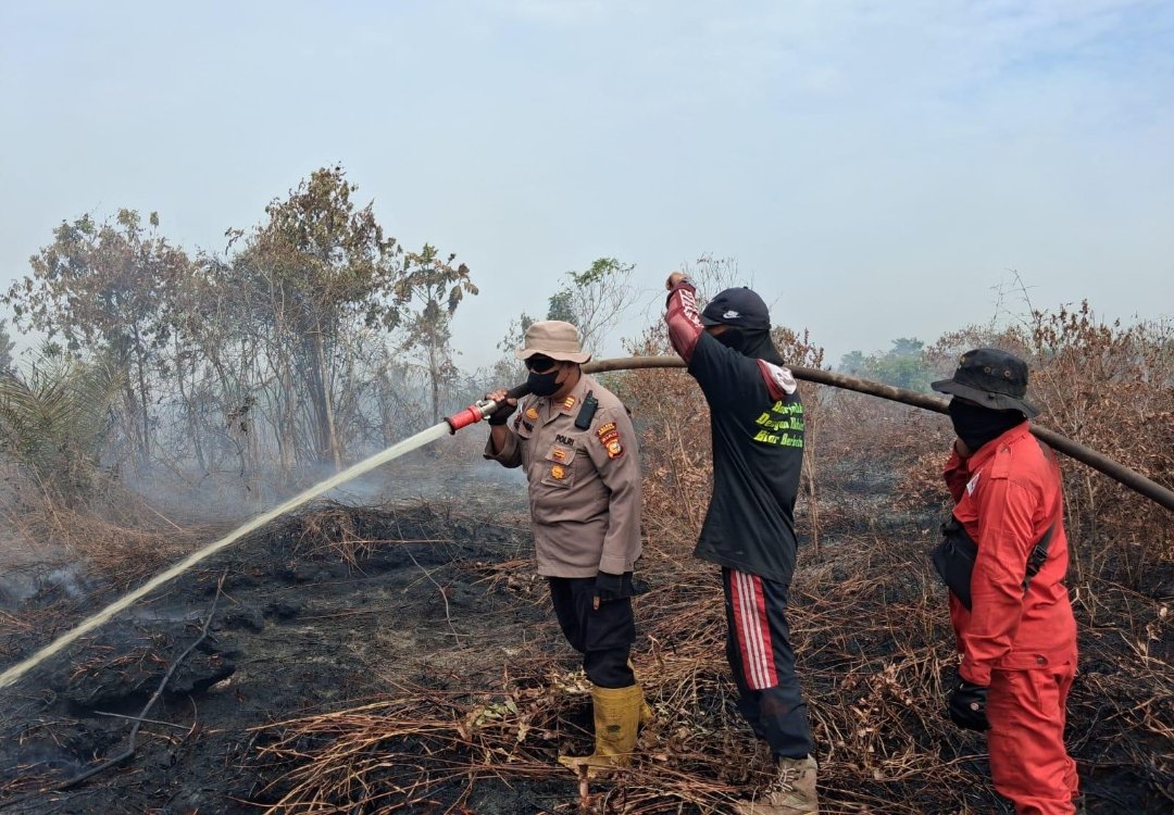 Bareskrim Polri mencatat 4.738 hektare lahan terbakar dan menetapkan 112 tersangka karhutla, dengan Provinsi Riau mencatatkan angka tertinggi.an di wilayah Sumatera.