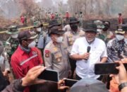 30 Perusahaan Disegel dalam Kasus Karhutla di Indonesia, Riau Cuma Satu: Siapa Pemilik Konsesi Ini?