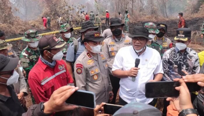 30 Perusahaan Disegel dalam Kasus Karhutla di Indonesia, Riau Cuma Satu: Siapa Pemilik Konsesi Ini?