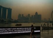 Kabut Asap Indonesia Masih Mengintai Singapura, PSI 92: Ancaman Belum Berakhir