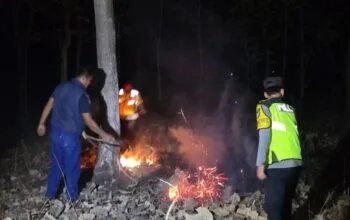 Petugas kepolisian dan Perhutani saat melakukan pengecekan serta pemadaman titik api karhutla di Ngawi.