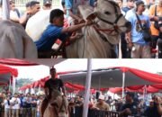 Kontes Sapi APPSI Piala Presiden 2026 Digelar di Bogor, Dinas Perikanan dan Peternakan Perkuat Pengawasan Kesehatan Hewan