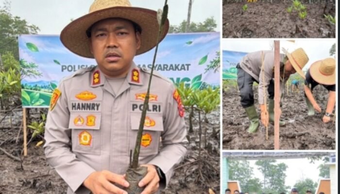 Kapolres Langkat Bersama Masyarakat Tanam Mangrove, Jaga Ekosistem Pesisir dan Dukung Ekonomi Nelayan