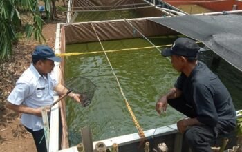 Kepala UPT Puskeswan Jonggol Junaedi bersama Penyuluh Perikanan Swadaya Irwan saat meninjau lokasi Pokdakan di Desa Singajaya.