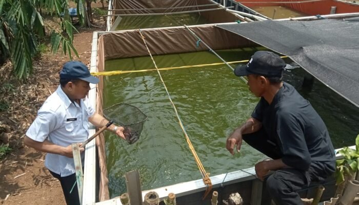 Kolaborasi UPT Puskeswan Jonggol dan Penyuluh Perikanan Bina Pokdakan Singajaya dan Jonggol