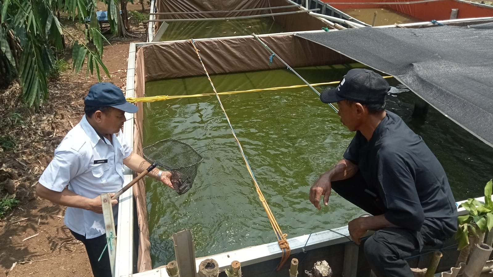 Kepala UPT Puskeswan Jonggol Junaedi bersama Penyuluh Perikanan Swadaya Irwan saat meninjau lokasi Pokdakan di Desa Singajaya.