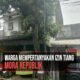 Warga Ajung Jember Tolak Pemasangan Tiang WiFi Mora Republik di Lampu Merah Semeru, Pertanyakan Izin