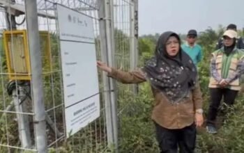 Bupati Siak Jawab 3 Pertanyaan Presiden soal Karhutla, Usulkan 167 Titik Pantau Gambut Bupati Siak Dr. Afni Zulkifli saat memaparkan konsep penanganan karhutla berbasis tinggi muka air tanah di Siak.