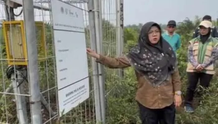 Bupati Siak Jawab 3 Pertanyaan Presiden soal Karhutla, Usulkan 167 Titik Pantau Gambut