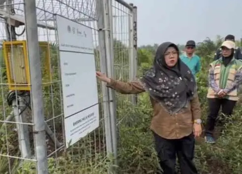 Bupati Siak Dr. Afni Zulkifli saat memaparkan konsep penanganan karhutla berbasis tinggi muka air tanah di Siak.