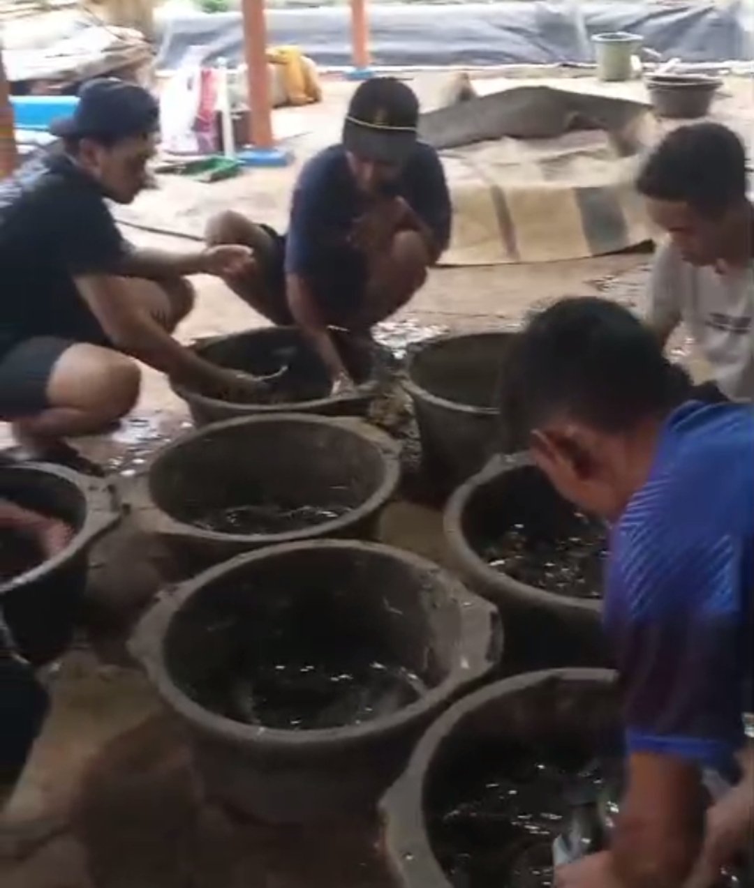 Kolam budidaya ikan lele milik warga di Kampung Rawajeler, Klapanunggal, Kabupaten Bogor.