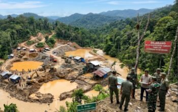 Areal pertambangan emas tanpa izin (PETI) di kawasan perbatasan Bugu Pohuwato Gorontalo dan Buol Sulteng.