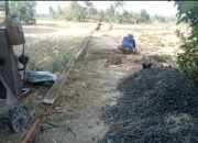 Pembangunan Jalan Desa Kamulyan Senilai Rp331 Juta Jadi Perhatian, Warga Soroti Teknis Pengecoran