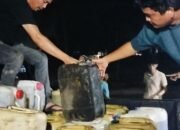 1.000 Liter Solar Diamankan di Pelalawan, Polisi Telusuri Asal-usul BBM di Desa Kemang